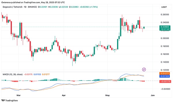 2000%暴涨神话：Kaspa矿币如何玩转这场加密淘金热？