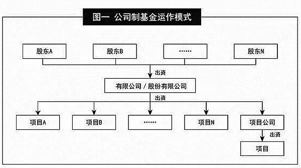 解密马斯克家族最神秘的潜力股：INUS代币的价值密码