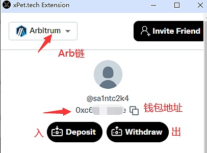 金融科技狂欢季：揭秘2024新加坡区块链与交易盛会