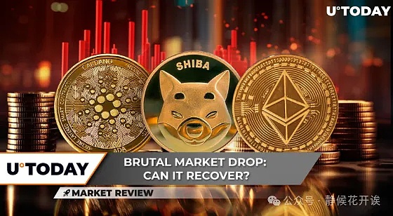 TOKEN2049干货：那些让人眼前一亮的加密新玩法