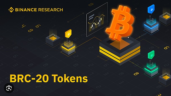 10月加密货币预测：SHIB和XRP即将迎来关键转折点？