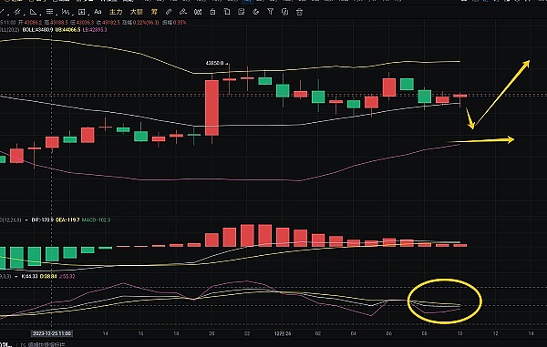 金辉币圈战报：BTC多单狂赚500刀，ETH完美斩获40刀！