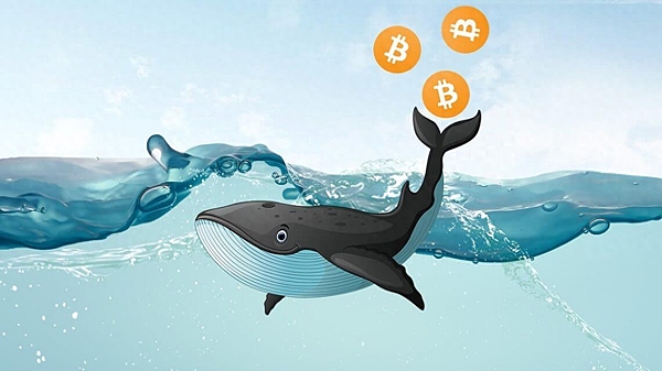 比特币的争议与价值：一位投资老手的深度观察