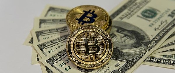 在币圈抓住风口：一位老韭菜的实战心得