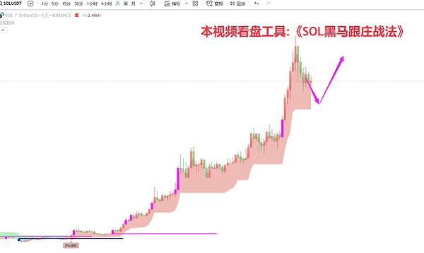 Solana再度冲击205美元大关，牛市行情蓄势待发