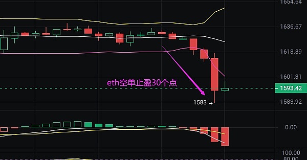比特币涨疯了！加密市场集体狂欢背后的秘密