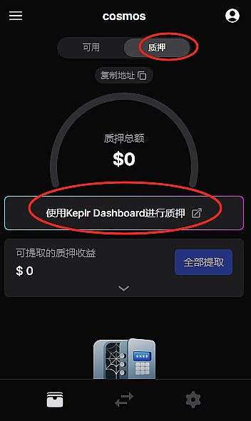 山寨币狂欢背后暗藏危机：Solana涨势可能只是昙花一现